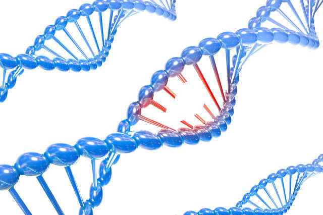 最新研究：人类DNA上发现155个全新基因