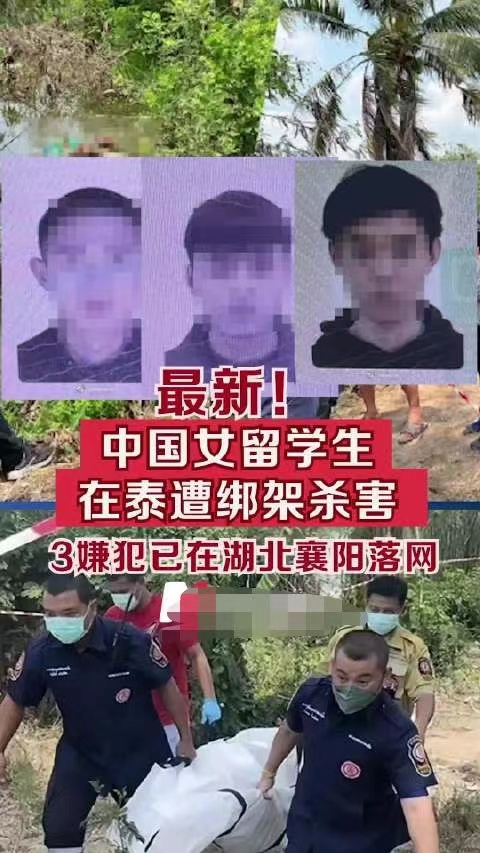 大快人心，在泰杀害女留学生3嫌犯湖北襄阳落网