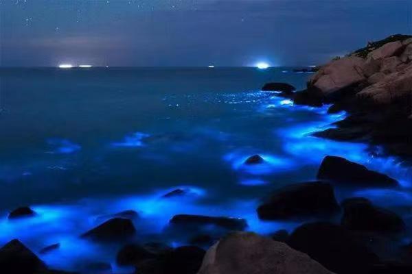 错过就后悔，广东海陵岛海滩连日现“蓝眼泪”